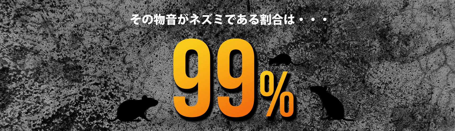 その物音がネズミである割合は・・・99%