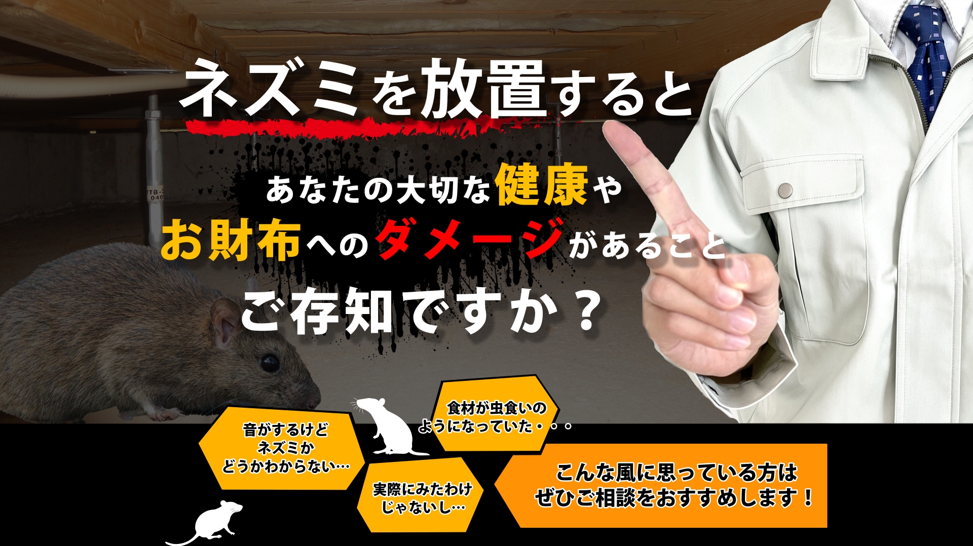 ネズミを放置するとあなたの大切な健康やお財布へのダメージが有ることご存知ですか？　音がするけどネズミかわからない・・・　食材が虫食いのようになっていた・・・　実際にみたわけじゃないし・・・　こんな風に思っている方はぜひご相談をおすすめします！